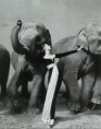 /album/fotogaleria-richard-avedon/dovinags1-jpg/